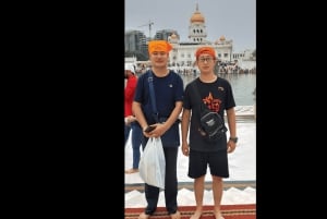 Delhi: Excursão particular de 1 dia ou de meio dia pela Velha e Nova Deli