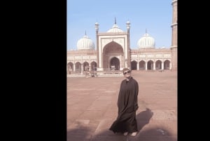 Delhi: Excursão particular de 1 dia ou de meio dia pela Velha e Nova Deli