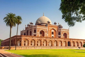 Delhi: Antigua y Nueva Delhi Visita guiada de la ciudad de día completo o medio día