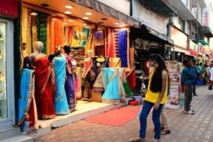 Дели: частный тур по Старому и Новому Дели на полдня или целый день на автомобиле