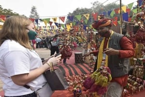 Delhi: tour guiado de día completo o medio día por la Delhi antigua y la Delhi moderna.