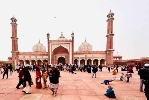 Delhi: Ganztagestour oder Halbtagestour durch Alt- und Neu-Delhi mit Führung
