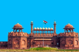 Delhi: Ganztagestour oder Halbtagestour durch Alt- und Neu-Delhi mit Führung