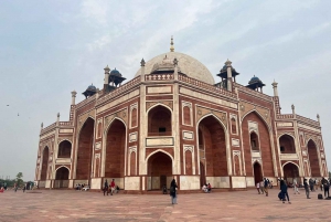 Delhi: tour guidato della vecchia e della nuova Delhi di una giornata o di mezza giornata