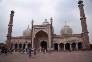 Delhi: tour guidato della vecchia e della nuova Delhi di una giornata o di mezza giornata