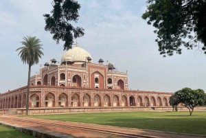 Delhi: tour guidato della vecchia e della nuova Delhi di una giornata o di mezza giornata