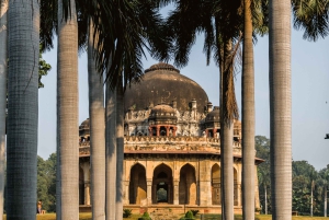 Delhi: tour guidato della vecchia e della nuova Delhi di una giornata o di mezza giornata