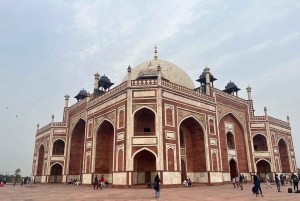 Delhi: tour guidato della vecchia e della nuova Delhi di una giornata o di mezza giornata