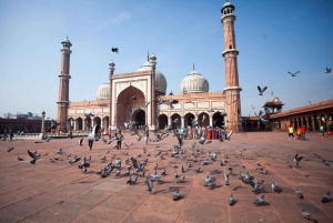 Delhi: Old och New Delhi Guidad hel- eller halvdagsutflykt