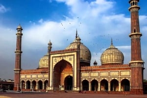 Delhi: Stare i Nowe Delhi - jednodniowa wycieczka