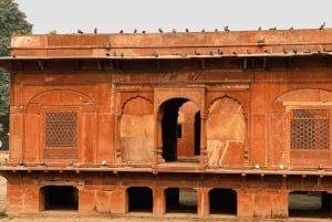 Delhi : Vanha ja Uusi Delhi Yksityinen koko- ja puolipäiväretki