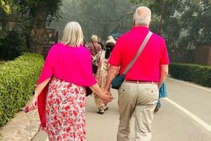 Delhi : Vanha ja Uusi Delhi Yksityinen koko- ja puolipäiväretki