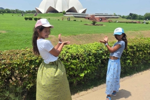 Delhi: Private Ganztagestour und Halbtagestour durch das alte und neue Delhi