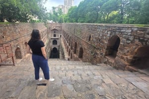 Delhi: Private Ganztagestour und Halbtagestour durch das alte und neue Delhi