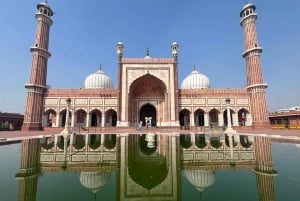 Delhi: Privat dagsutflykt och halvdagsutflykt i gamla och nya Delhi