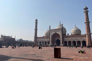 Delhi: Old and New Delhi Private Full or Half-Day Tour