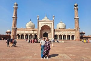 Delhi: Privat halvdags- eller heldagstur i gamle og nye Delhi