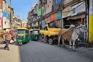 Delhi: Privat halvdags- eller heldagstur i gamle og nye Delhi