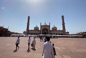 Delhi: Privat halvdags- eller heldagstur i gamle og nye Delhi