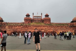 Delhi: Privat halvdags- eller heldagstur i gamle og nye Delhi