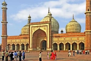 Delhi: Privat halvdags- eller heldagstur i gamle og nye Delhi