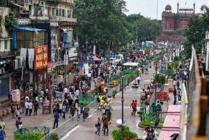Delhi: tour privato di un giorno o di mezza giornata della Vecchia e Nuova Delhi