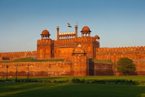 Delhi: la vecchia e la nuova Delhi Tour privato di mezza o intera giornata