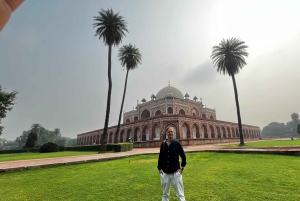 Delhi: la vecchia e la nuova Delhi Tour privato di mezza o intera giornata