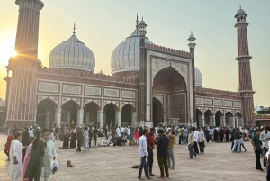 Delhi privat heldags- eller halvdagsutflykt till Gamla och Nya Delhi