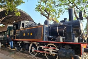 Delhi: Privat halvdagstur eller heldagstur til det gamle og det nye Delhi