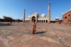 Delhi: Old and New Delhi Private Full or Half-Day Tour