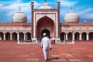 Delhi: Old og New Delhi Privat hel- eller halvdagstur