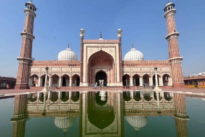 Delhi: prywatna wycieczka całodniowa lub półdniowa po starym i nowym Delhi