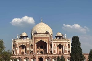 Delhi: prywatna wycieczka całodniowa lub półdniowa po starym i nowym Delhi