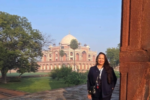 Delhi: prywatna wycieczka całodniowa lub półdniowa po starym i nowym Delhi