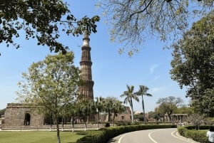 Delhi: Old and New Delhi Private Full or Half-Day Tour