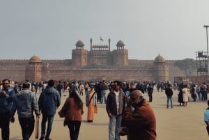 Delhi: Old and New Delhi Private Full or Half-Day Tour