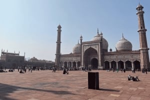 Delhi: Old and New Delhi Private Full or Half-Day Tour