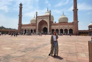 Delhi: Old and New Delhi Private Full or Half-Day Tour