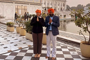 Delhi: Excursão particular de 1 dia inteiro ou de meio dia pela Delhi antiga e nova