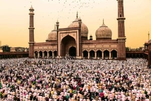 Delhi: Privat halvdagstur eller heldagstur til det gamle og det nye Delhi