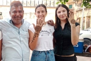 Deli: tour privado de meio dia ou dia inteiro pela antiga e nova Deli