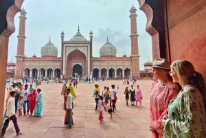 Delhi : visite guidée privée de l'ancienne et de la nouvelle ville de Delhi