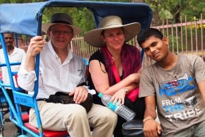 Delhi: Old and New Delhi Private Guided City Tour