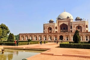 Delhi: Old and New Delhi Private Guided City Tour
