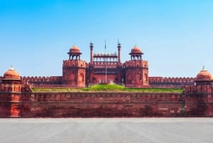 Delhi: Old and New Delhi Private Guided City Tour
