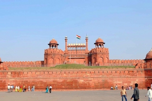 Delhi: Gamle og nye Delhi Privat omvisning med guide