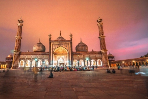 Delhi: Privat guidad stadsvandring i Gamla och Nya Delhi