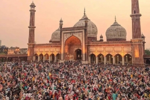 Delhi : visite d'une jounée à pied et en voiture avec guide