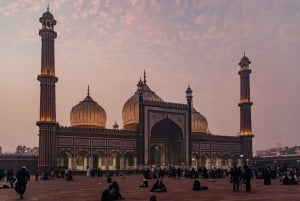 Delhi : visite d'une jounée à pied et en voiture avec guide